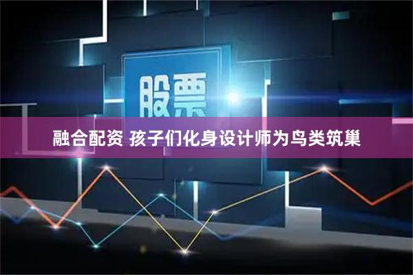 融合配资 孩子们化身设计师为鸟类筑巢