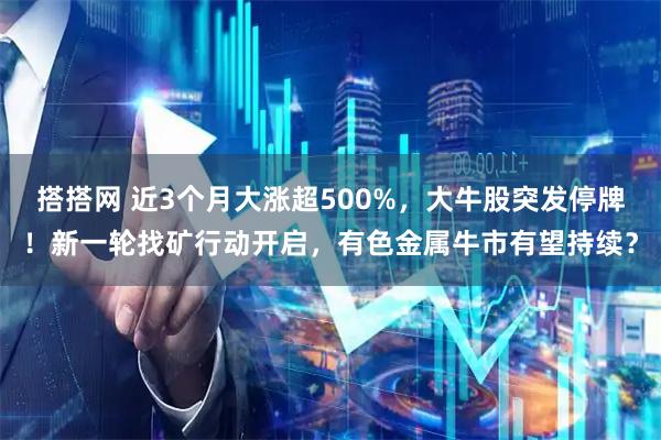 搭搭网 近3个月大涨超500%，大牛股突发停牌！新一轮找矿行动开启，有色金属牛市有望持续？