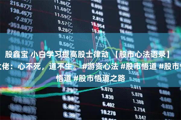 股鑫宝 小白学习提高股士律动 【股市心法语录】 劳动路大佬：心不死，道不生。 #游资心法 #股市悟道 #股市悟道之路