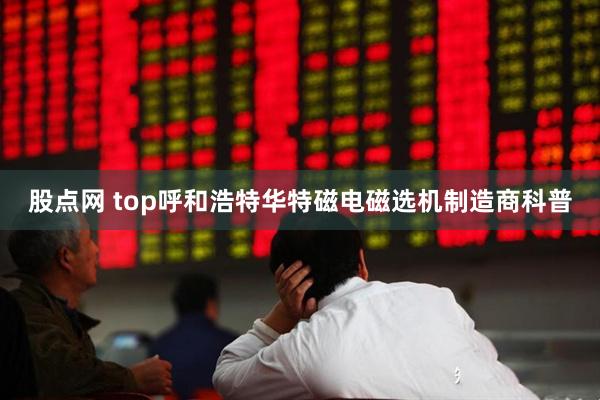 股点网 top呼和浩特华特磁电磁选机制造商科普